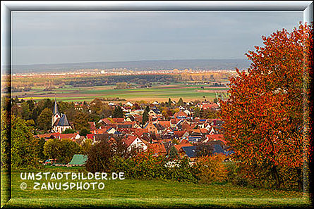 Blick vom Hang auf den Stadtteil Klein-Umstadt
