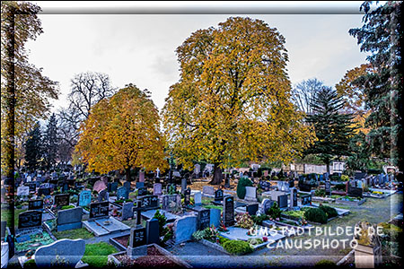 Bunte Laubbäume auf dem Stadtfriedhof