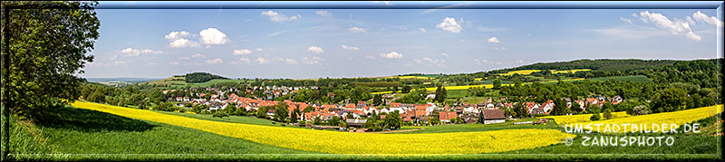 Panoramabild mit Rapsfeld von Raibach