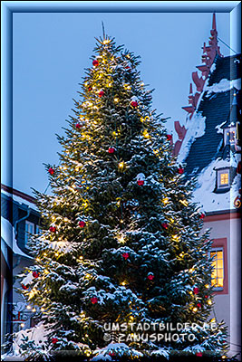 Winter in Umstadt, Illuminierter Weihnachtsbaum vor dem Rathaus